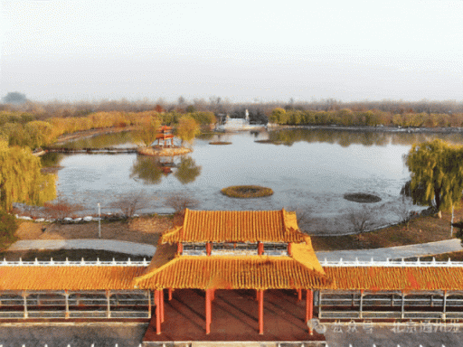 钻石配资 狠狠心动了！通州永乐店惊现 “花漾” 奇景
