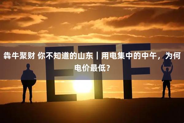 犇牛聚财 你不知道的山东｜用电集中的中午，为何电价最低？